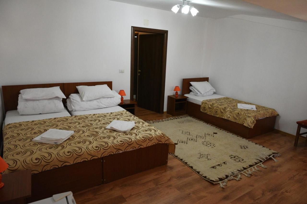 Хостелы Hostel Ruxandra Фокшани-15